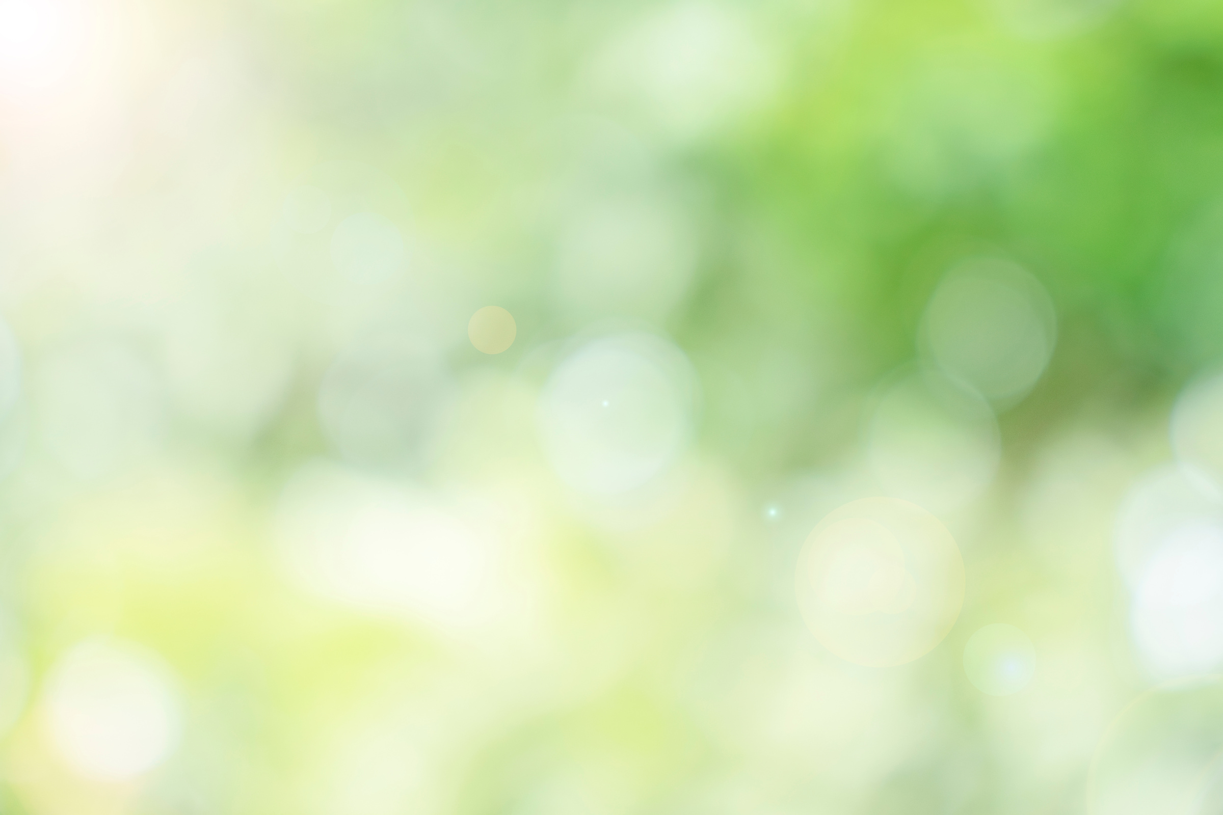 Abstract Blurred Defocus Natural Green Bokeh Background, Soft Na